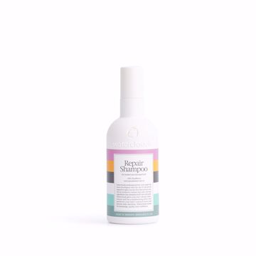 Waterclouds Repair Shampoo 250 ml
