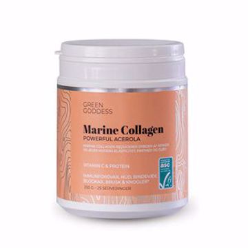 Powerful Acerola Collagen 250 gr
